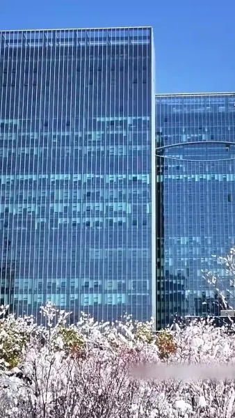 วิวาห์ว้าวุ่น