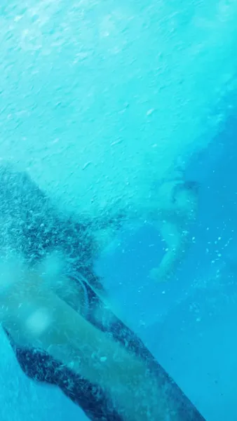 ภารกิจหัวใจของสาวเวอร์จิ้น