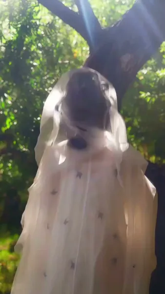 สิ้นหวังพันคืน(พากย์ไทย)