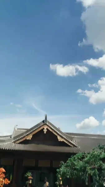 สิ้นหวังพันคืน(พากย์ไทย)