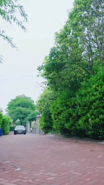 ทายาทสองหน้ากับคุณป้าสี่ท่านสุดแกร่ง