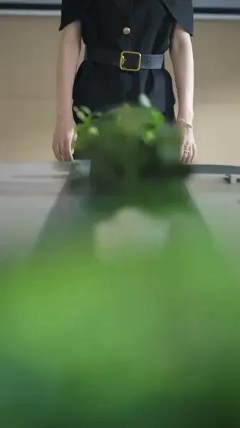 ฉันเกิดใหม่ ไม่ใช่ของตาย