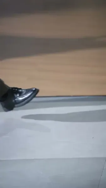 ฉันเกิดใหม่ ไม่ใช่ของตาย