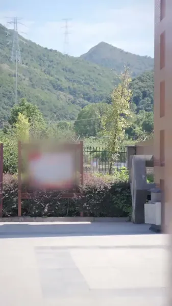 ฉันเกิดใหม่ ไม่ใช่ของตาย