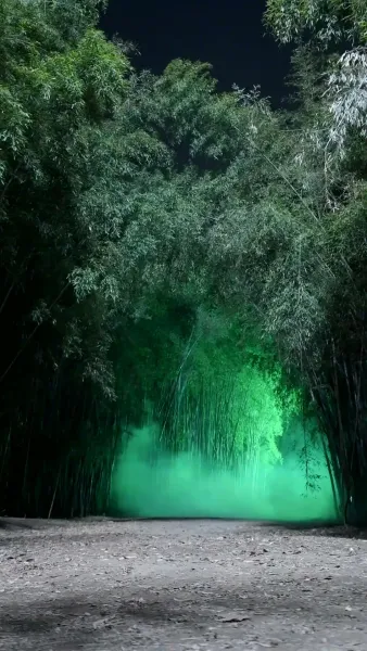 ความลับไม่มีอีกต่อไป