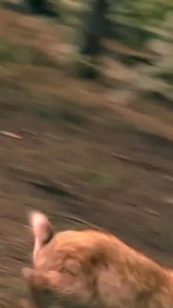 ความลับไม่มีอีกต่อไป