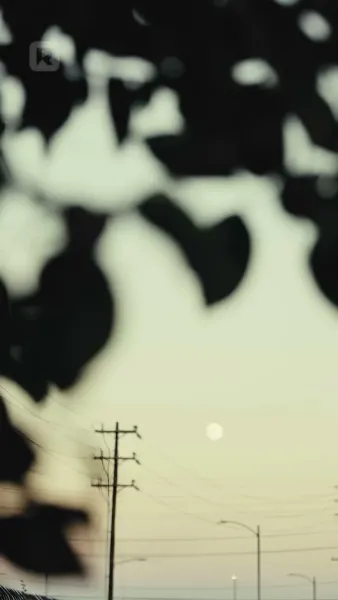 แสง กล้อง แอคชั่น!