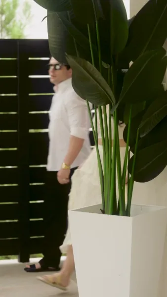 เถ้ากุหลาบสีเลือด