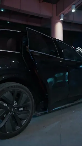 เซียนพนันคืนสู่สมรภูมิ