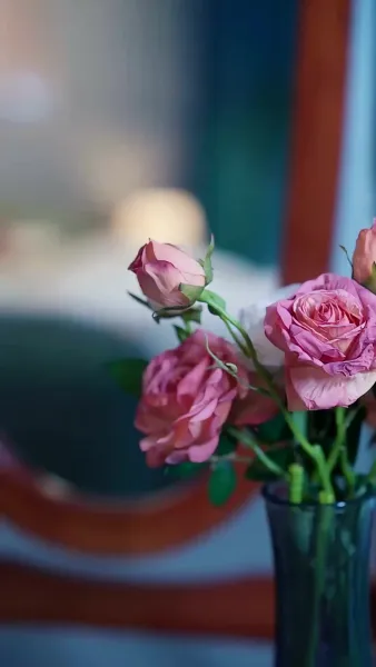 จากศัตรูสู่หัวใจ