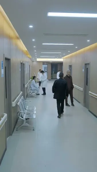 เมืองมังกร : เสือซ่อนเร้นและมังกรแฝงตัว