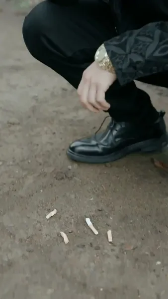 เมืองมังกร : เสือซ่อนเร้นและมังกรแฝงตัว