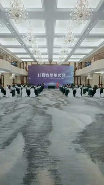 เมืองมังกร : เสือซ่อนเร้นและมังกรแฝงตัว