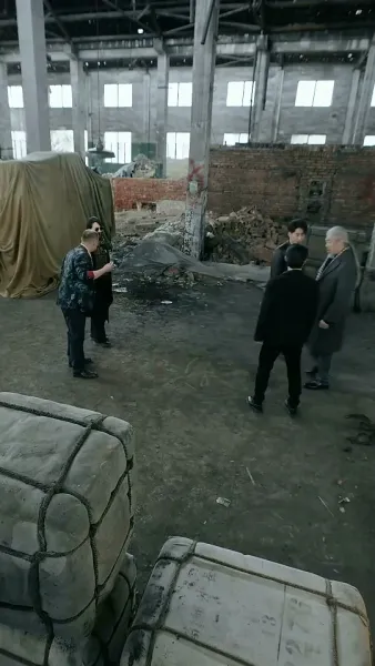 เมืองมังกร : เสือซ่อนเร้นและมังกรแฝงตัว