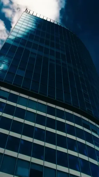 คุณหย่ากับทายาทอัจฉริยะ