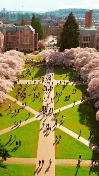 รักพลั้งพลาด