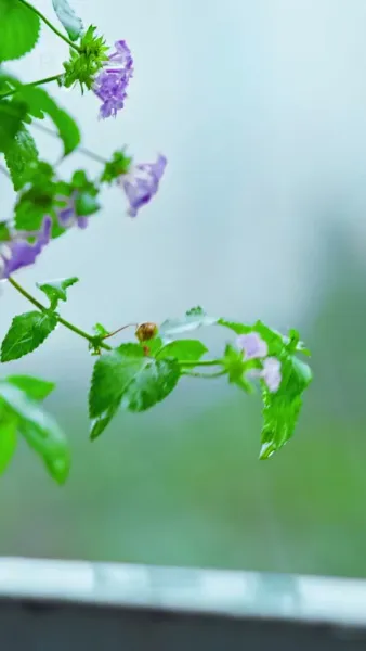 รักพลั้งพลาด