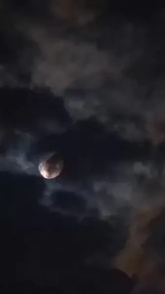 องค์หญิง ท่านคิดอย่างไรกับคดีนี้?