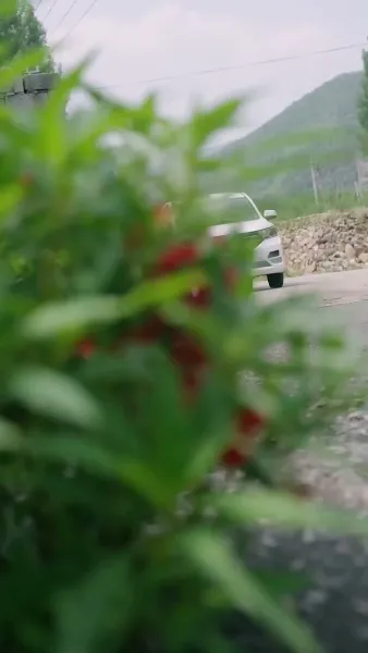 ทางกลับบ้าน