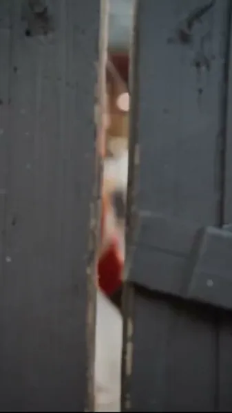 กราบเรียนแม่ทัพ เมียวุ่นปลูกนา