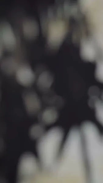 เมียผม เป็นจิตรกรตัวแม่