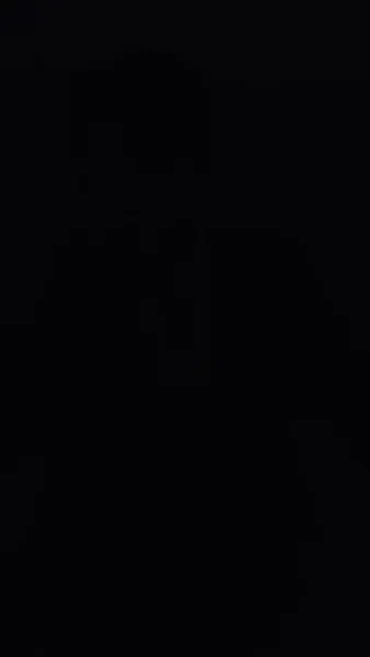 เมียผม เป็นจิตรกรตัวแม่