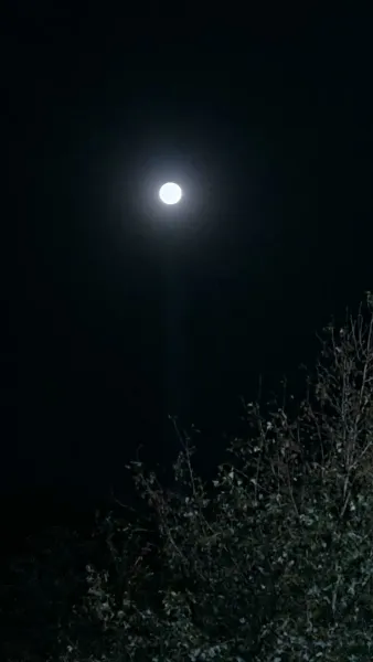 เปิดเกมยุคอดอยาก ฉันเลี้ยงดูท่านอ๋องด้วยมิติเก็บของ