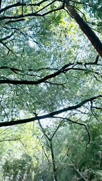 เปิดเกมยุคอดอยาก ฉันเลี้ยงดูท่านอ๋องด้วยมิติเก็บของ