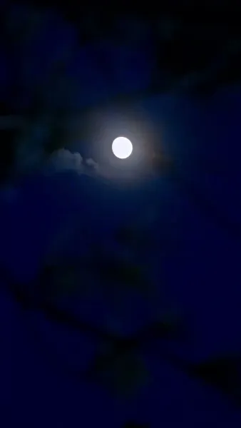 เปิดเกมยุคอดอยาก ฉันเลี้ยงดูท่านอ๋องด้วยมิติเก็บของ