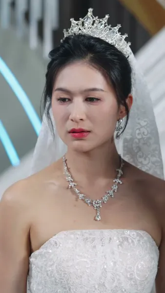 ห้าปีที่ฉันเป็นแค่โล่