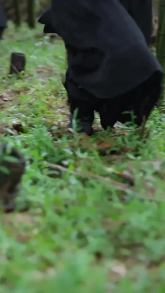 หัวใจฮ่องเต้กับทองคำ