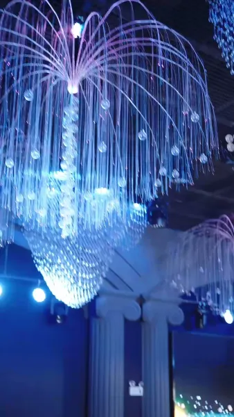 เสียงดนตรีของเจ้าสาวจริง