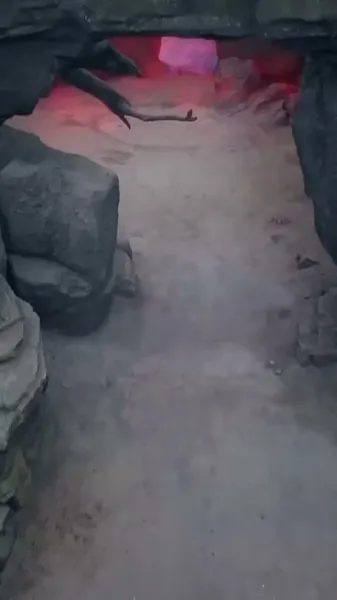 จักรพรรดิเทพนิรันดร์