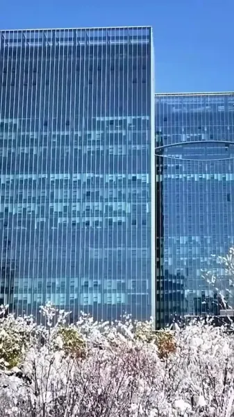 เจ้าสาวเศรษฐพันล้านที่ฉันทิ้งไว้