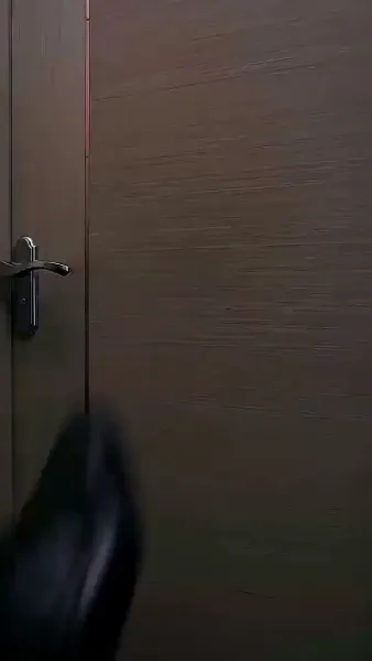 ชื่อละครสั้น: 'การแข่งขันแห่งการแก้แค้นของประธานเจ้าหน้าที่'