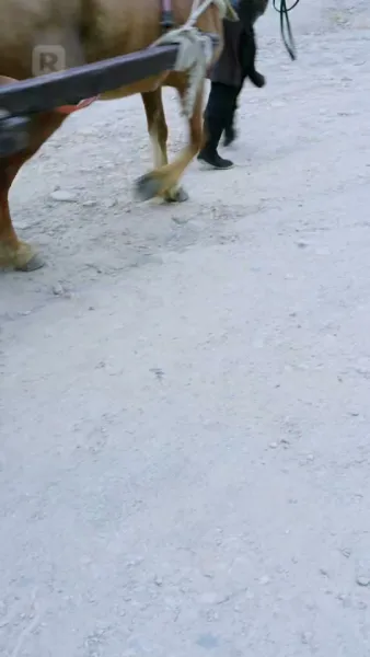 การเกิดใหม่ในกองเพลิง