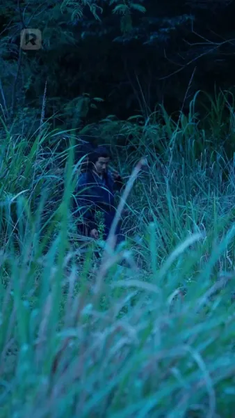 การเกิดใหม่ในกองเพลิง