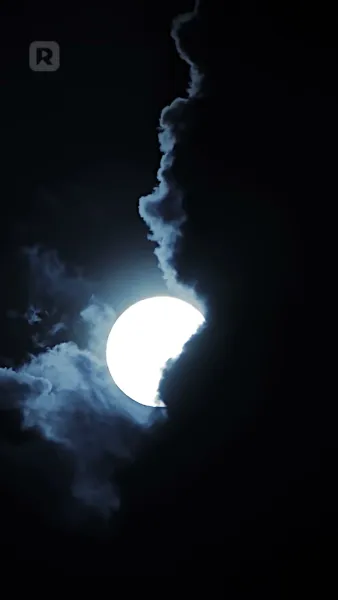 การผงาดของคู่ชีพที่ถูกอัลฟ่าปฏิเสธ