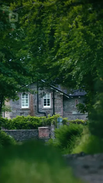 การผงาดของคู่ชีพที่ถูกอัลฟ่าปฏิเสธ