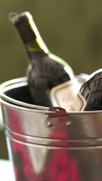 การผงาดของคู่ชีพที่ถูกอัลฟ่าปฏิเสธ