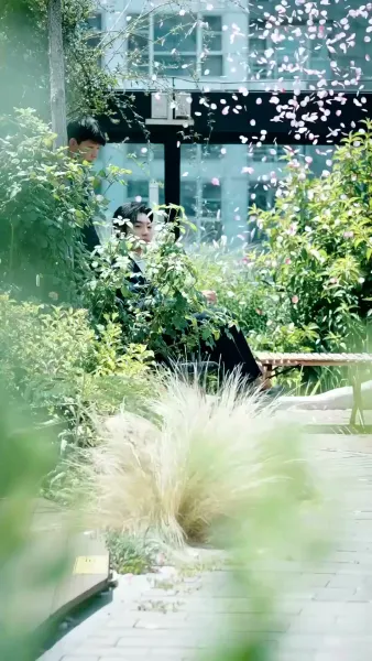 วิวาห์รักดั่งฝันลวงตา