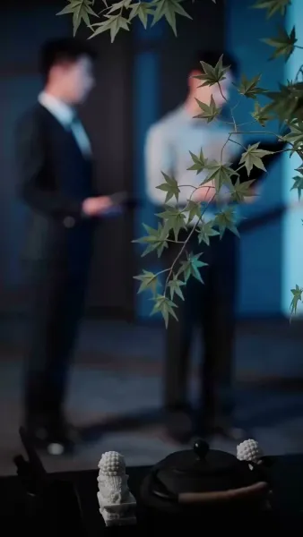 วิวาห์รักดั่งฝันลวงตา