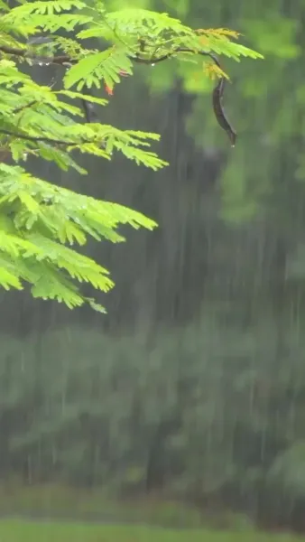 รักนี้ร่วมสมคบคิด ทะลวงฟ้าดิน