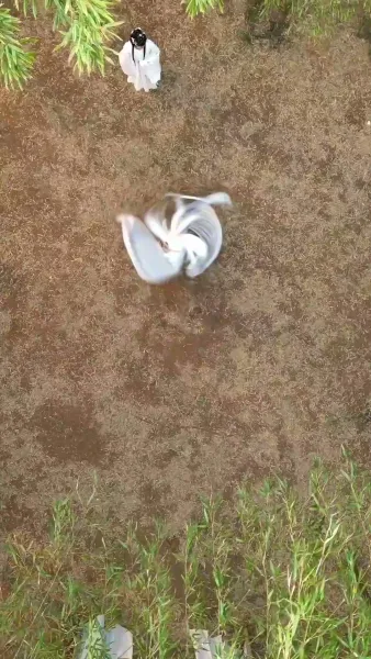 บูรพาจารย์พลิกฟ้า