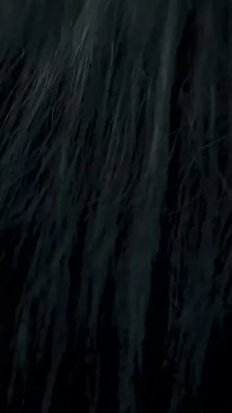 ร้อยร้าวผูกพันรัก