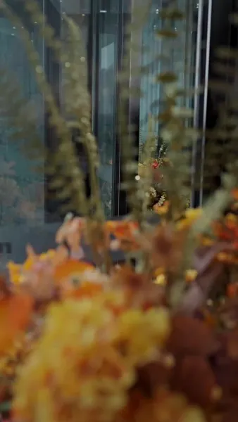 หมอกพรางใจ ใครซ่อนรัก