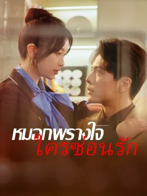 หมอกพรางใจ ใครซ่อนรัก