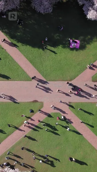 กับดักรักนักติวเตอร์