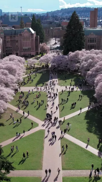 กับดักรักนักติวเตอร์