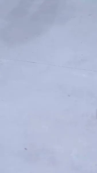 ลูกเขยซ่อนพลัง